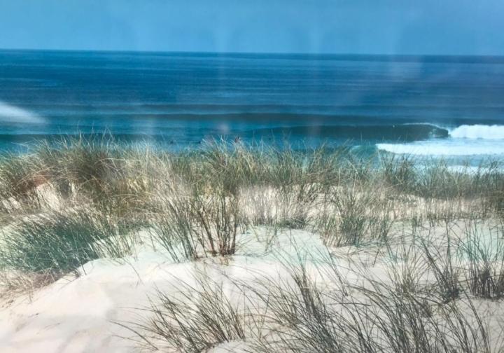 L'Ocean&Dunes Vue A 180° En Bord De Plage Lacanau Exterior foto