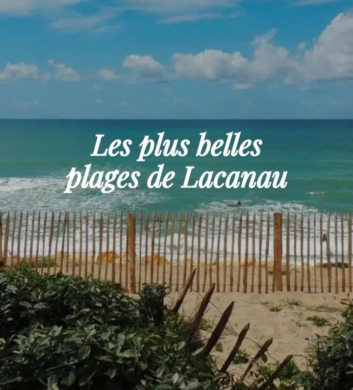 L'Ocean&Dunes Vue A 180° En Bord De Plage Lacanau Exterior foto